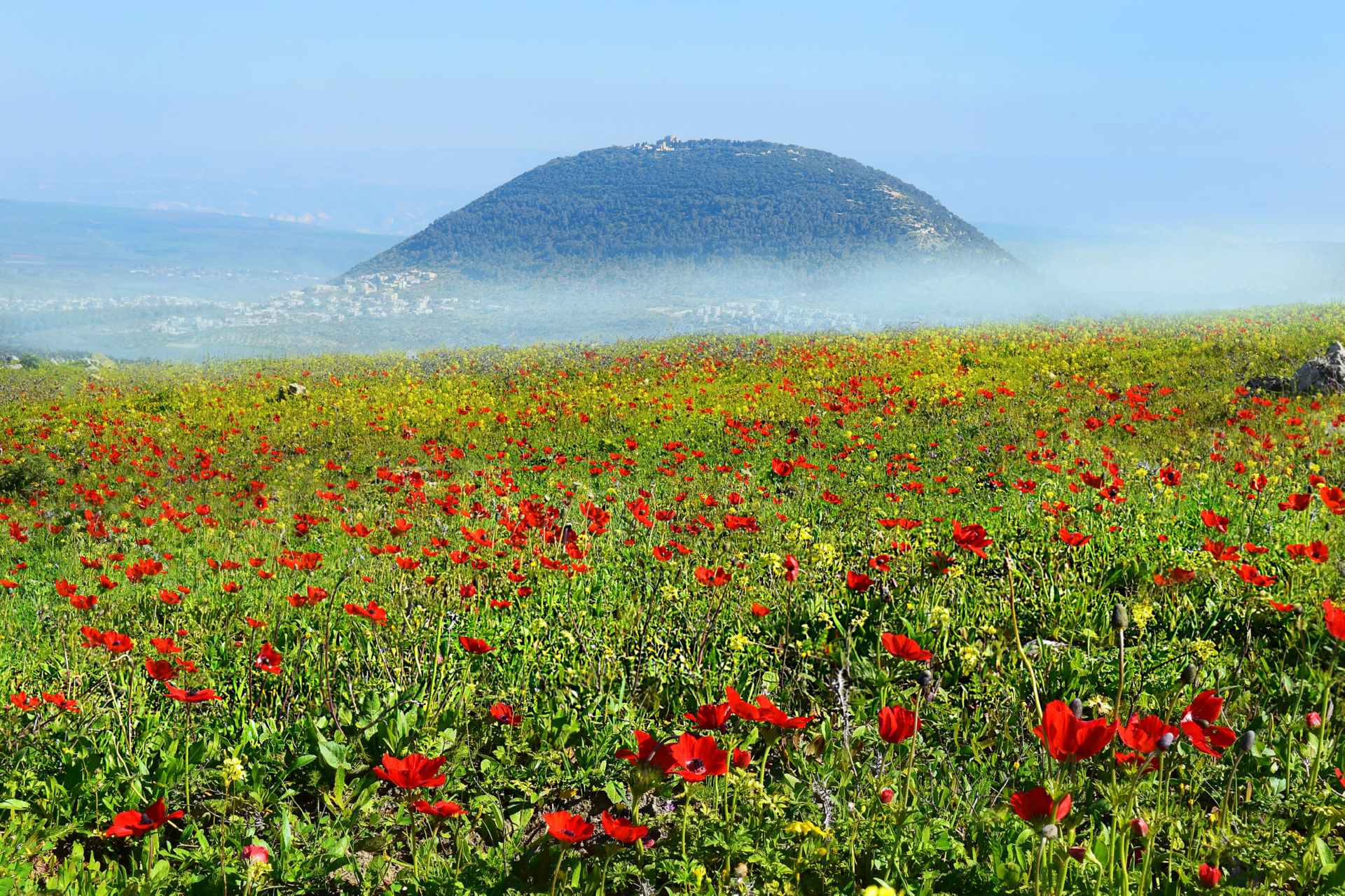 Transfers from Eilat Ramon airport to Nazareth